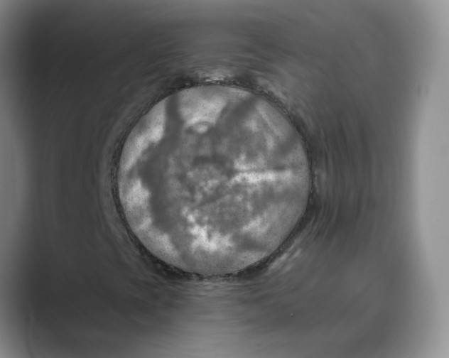 X0000088751393200706282155