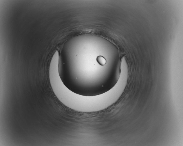 X0000088751394200706282155