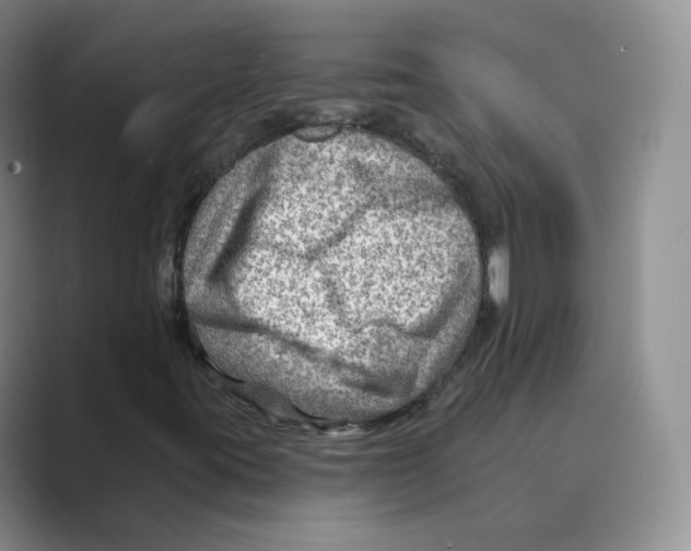 X0000088751395200706282155