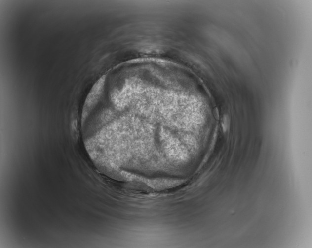 X0000088751396200706282155