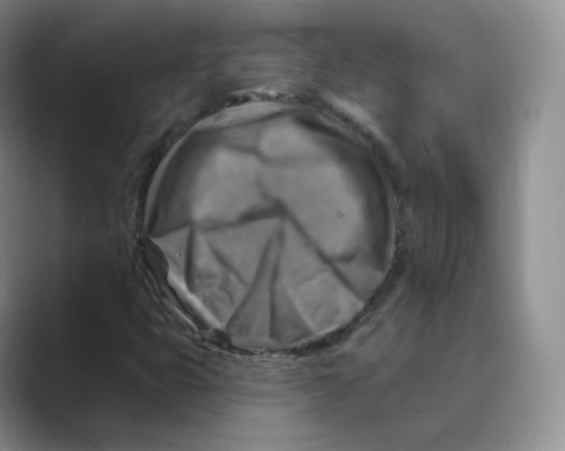 X0000088751399200706282155