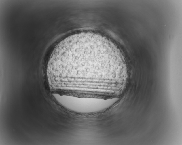 X0000088751400200706282155