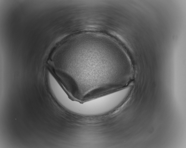 X0000088751402200706282155