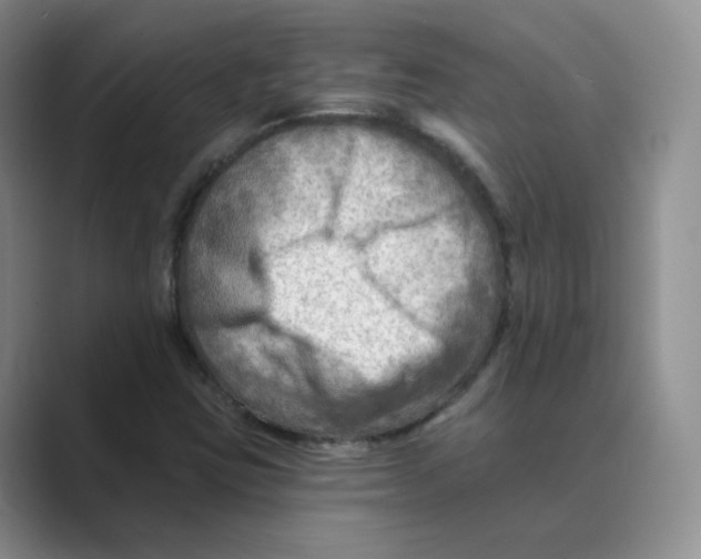 X0000088751403200706282155