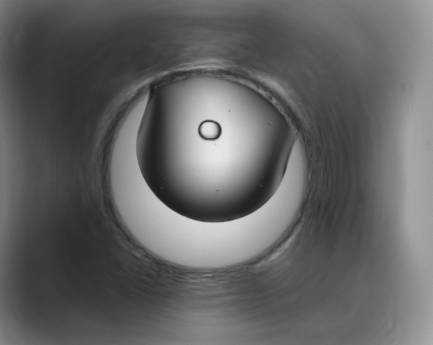 X0000088751406200706282156