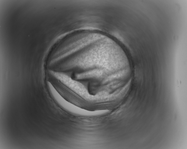 X0000088751408200706282156