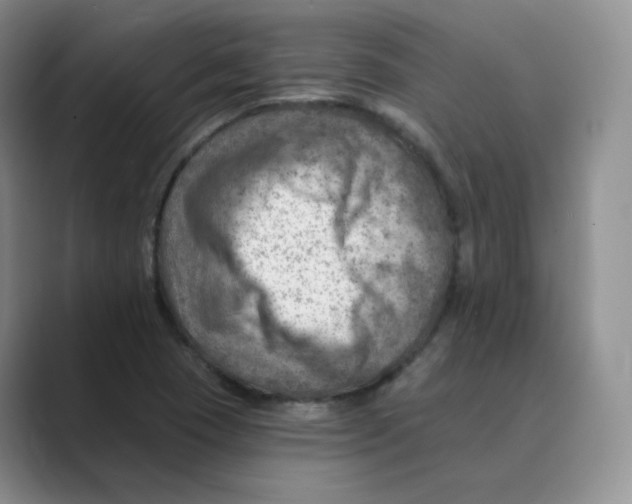 X0000088751409200706282156