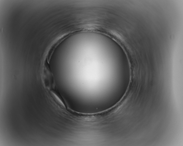 X0000088751410200706282156