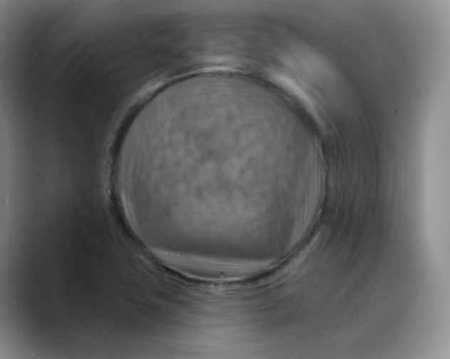 X0000088751411200706282156