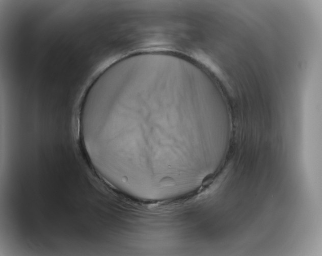 X0000088751413200706282156