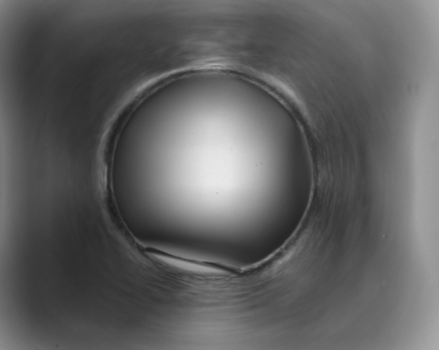 X0000088751414200706282156