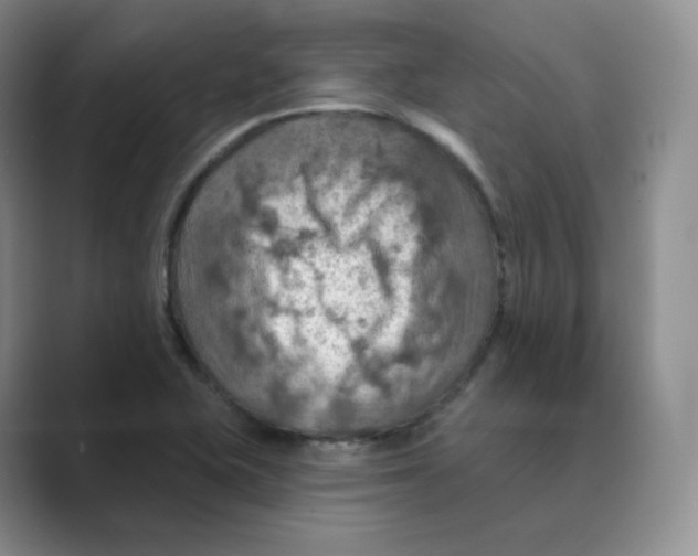 X0000088751415200706282156