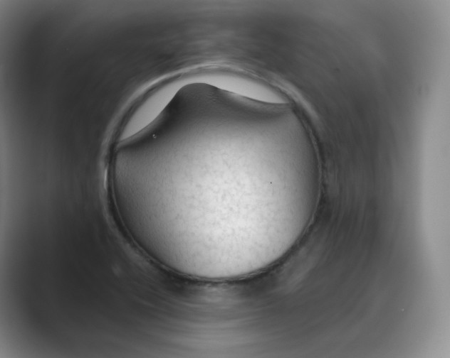 X0000088751416200706282156