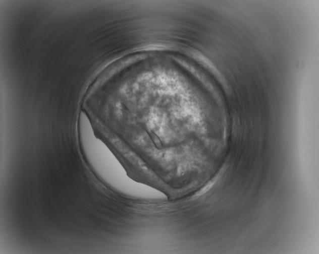 X0000088751417200706282156