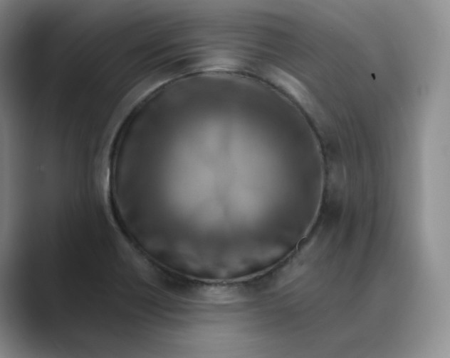 X0000088751418200706282156