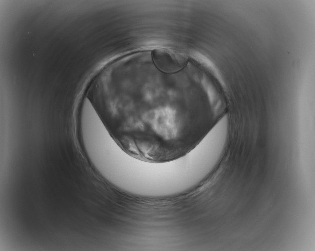 X0000088751419200706282156