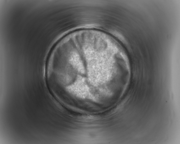 X0000088751420200706282156