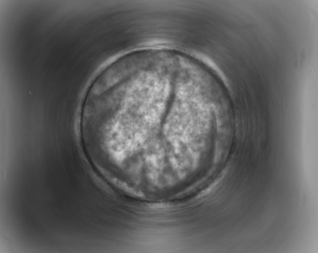 X0000088751421200706282156