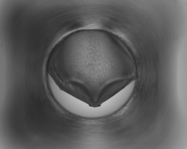 X0000088751422200706282156