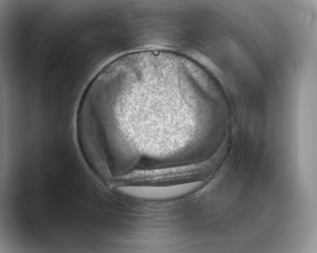 X0000088751423200706282156