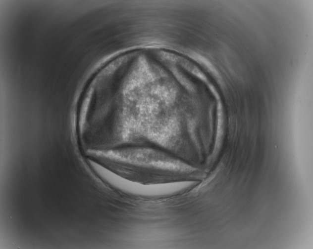 X0000088751424200706282156