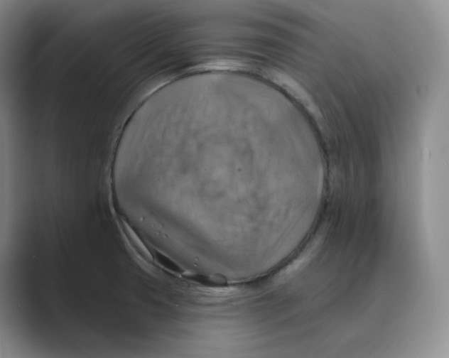 X0000088751425200706282156