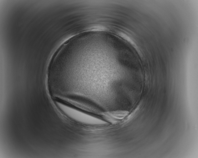 X0000088751426200706282156