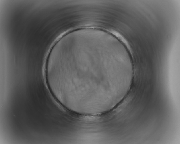 X0000088751429200706282156