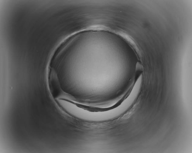 X0000088751430200706282156