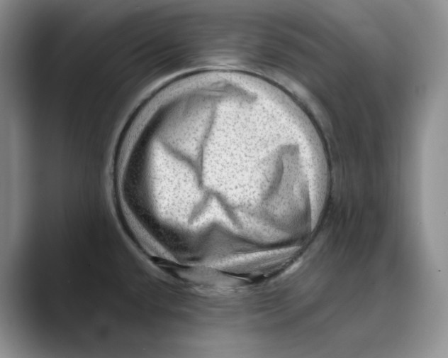 X0000088751432200706282156