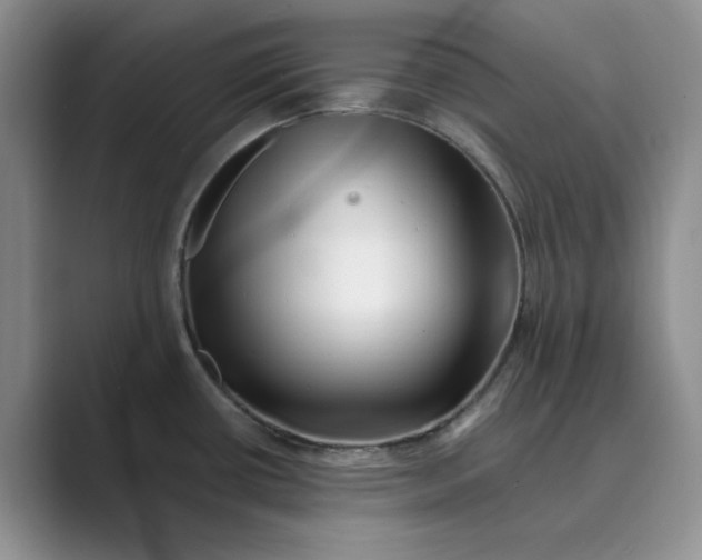 X0000088751434200706282156