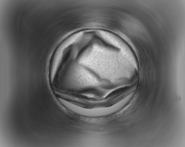 X0000088751437200706282156