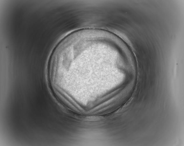 X0000088751440200706282156