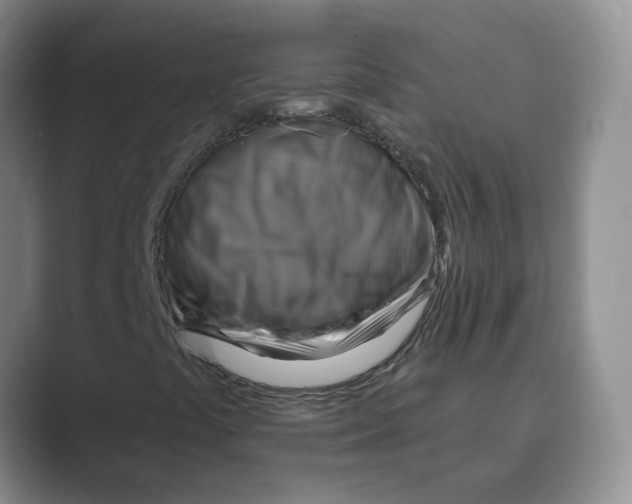 X0000088751441200706282155