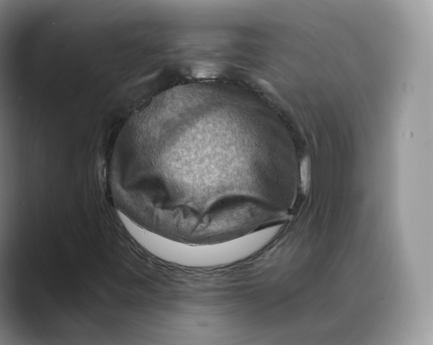 X0000088751443200706282155