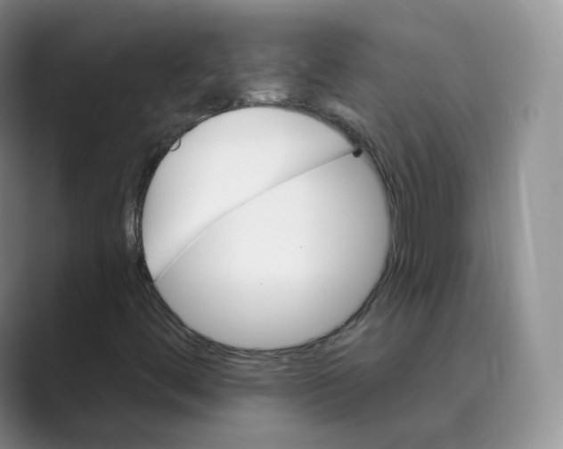 X0000088751444200706282155