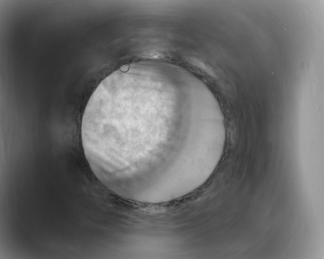 X0000088751446200706282155