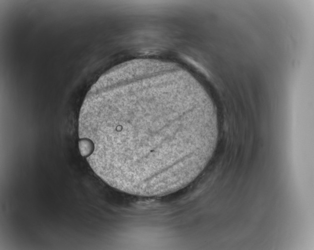 X0000088751447200706282155