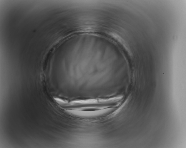 X0000088751449200706282155