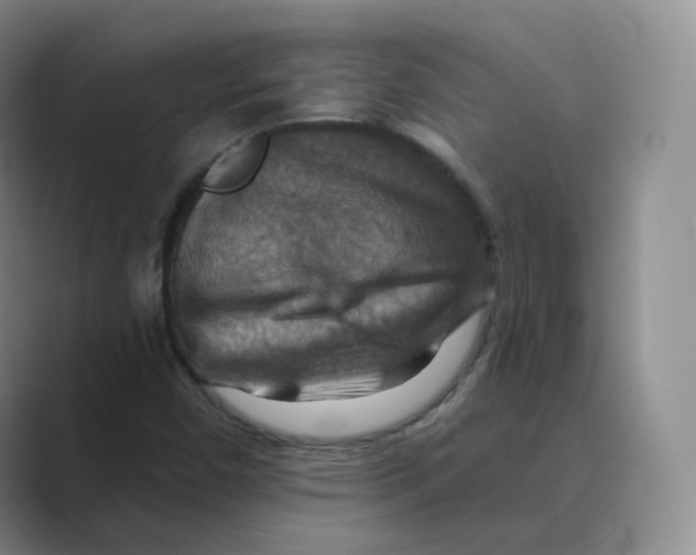 X0000088751450200706282155