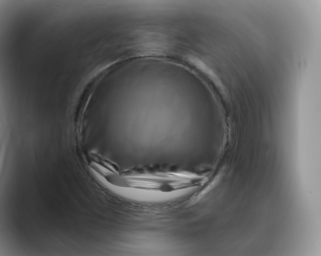 X0000088751453200706282155