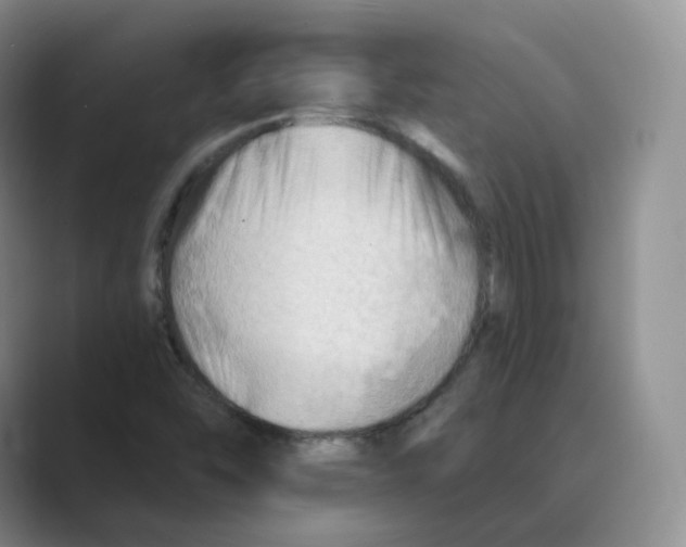 X0000088751454200706282155