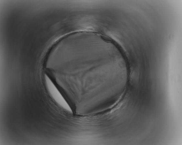 X0000088751455200706282155