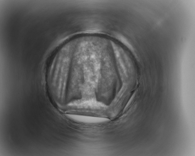 X0000088751456200706282155