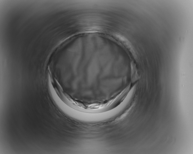 X0000088751457200706282155