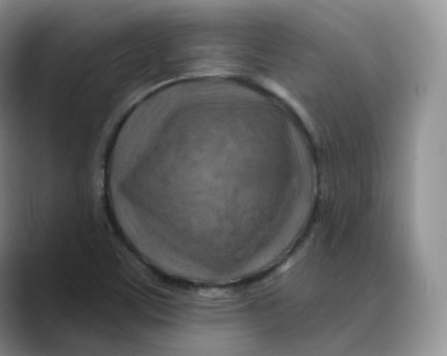 X0000088751459200706282155