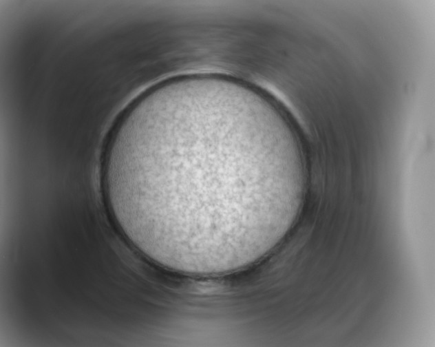 X0000088751460200706282155