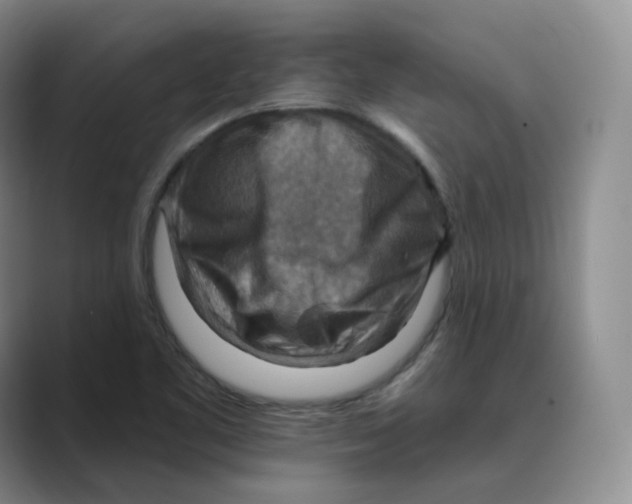 X0000088751461200706282155