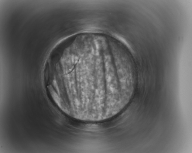 X0000088751463200706282155