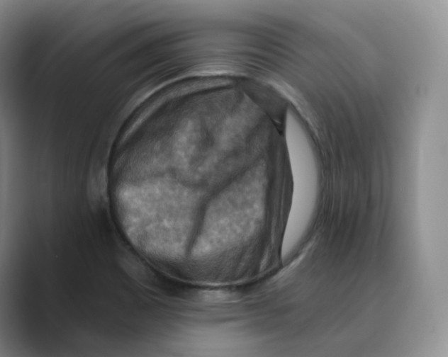 X0000088751465200706282155